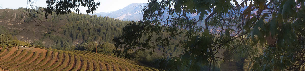 Stop Measure C  – Napa Valley